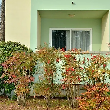 Colourful Seaside Flat With Pool On The Rooftop Apartament
